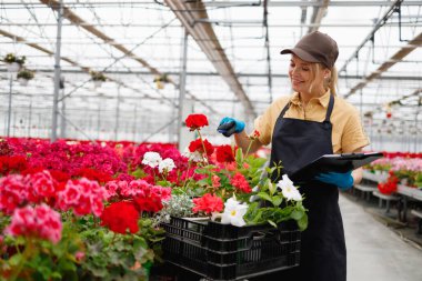 Female florist with clipboard collects needed flowers in box