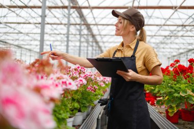 Woman florist counts flowers in a nursery