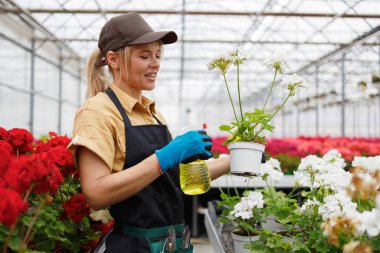 Female gardener spraying water on plants in greenhouse