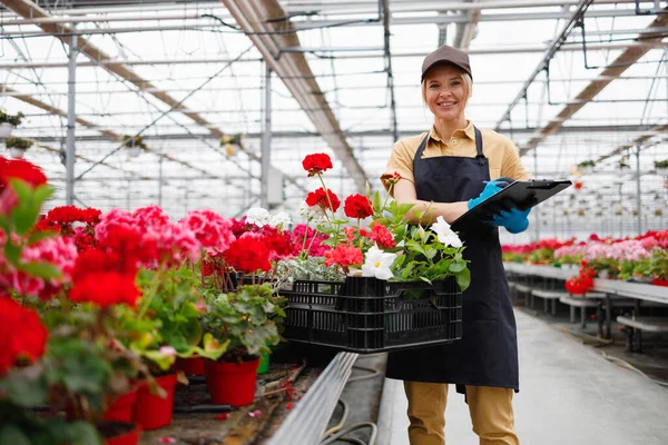 Portrait Mature Pretty Female Florist Clipboard Greenhouse — Stockfoto