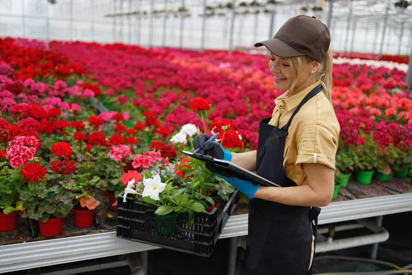 Woman Standing Nursery Holding Clipboard Florist Checking Flowers Condition Greenhouse — Stockfoto