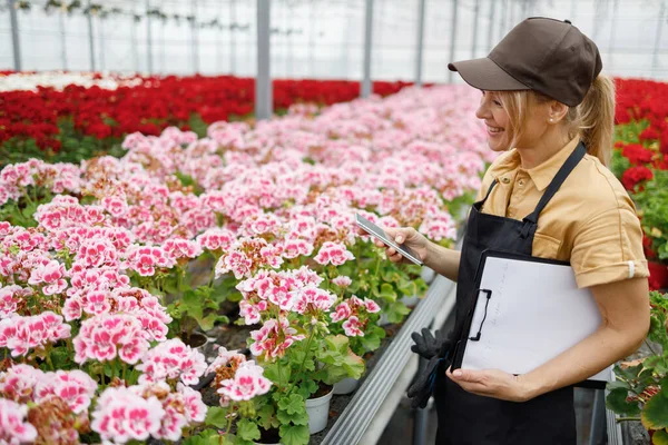 Female Flowers Greenhouse Worker Holding Clipboard Smartphone Her Hands — Stock Fotó