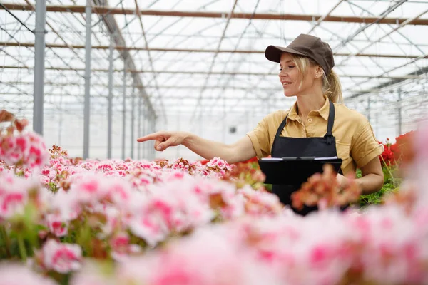 Woman Clipboard Tablet Working Greenhouse — Stockfoto