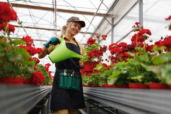 Cheerful Mature Woman Gardener Pouring Flowers Green Watering Can Greenhouse — Stockfoto
