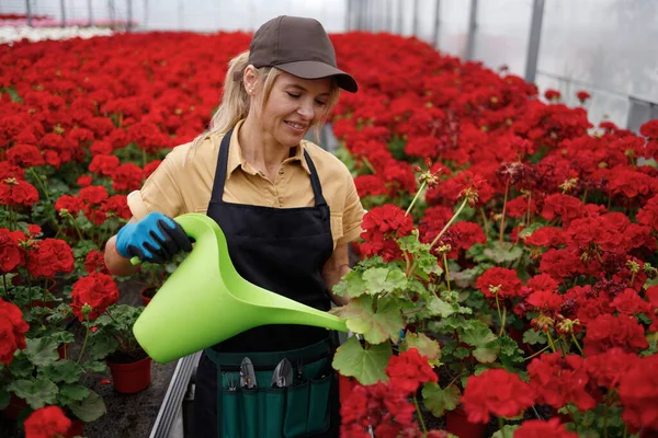 Female Florist Worker Watering Flowers Nursery Greenhouse — Stockfoto