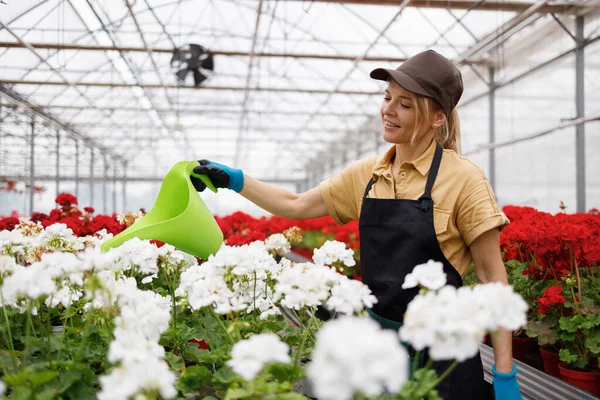 Pretty Blonde Woman Pouring Flower Watering Can Greenhouse — Stock Fotó