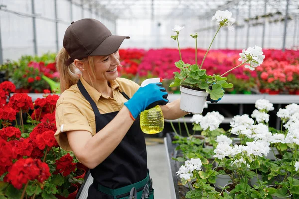 Woman Greenhouse Worker Freshens Flowers Pots Spraying Them Fresh Water — Stock Fotó