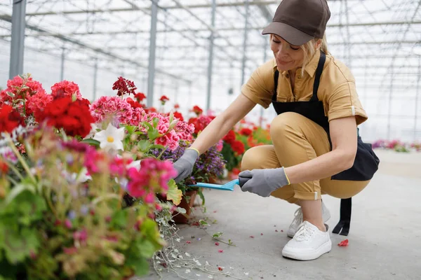 Woman Transplanting Flowers Plant Nursery — Stockfoto