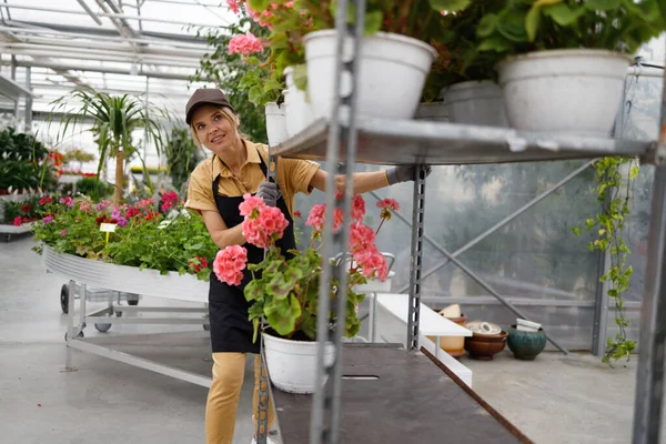 Kvinnan Som Driver Vagnen Med Blommor Plantskola — Stockfoto