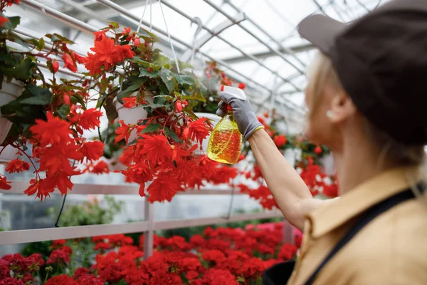 Greenhouse Worker Woman Spraying Flowers — Stockfoto