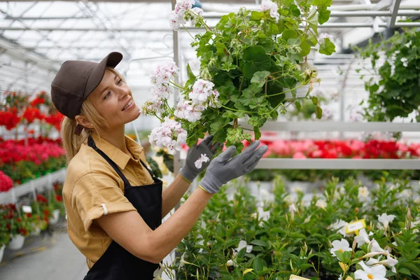 Pretty Middle Aged Woman Florist Carefully Examines Flowers Greenhouse — Stockfoto