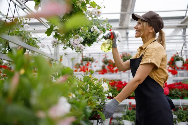Woman Spraying Flowers Greenhouse Mature Woman Taking Care Plants Greenhouse — Stockfoto