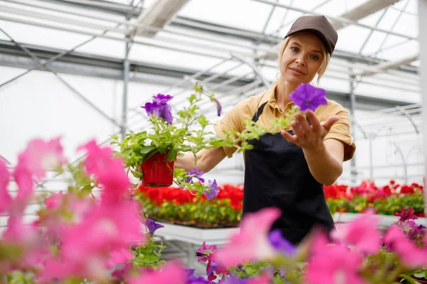 Lycklig Kvinna Hand Blommor Växthus — Stockfoto