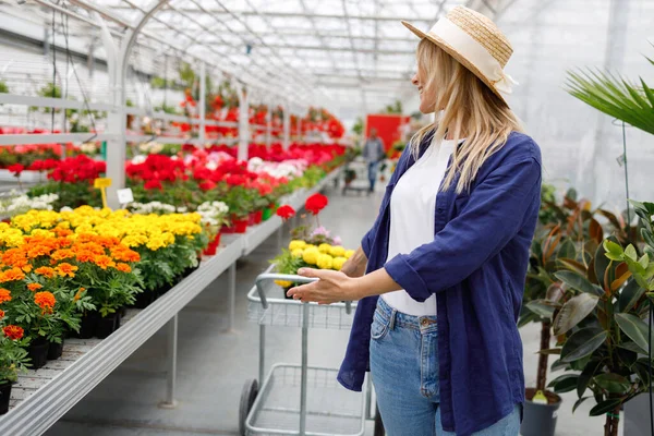 Beautiful Woman Hat Walks Shopping Cart Garden Shop Plants — Foto de Stock