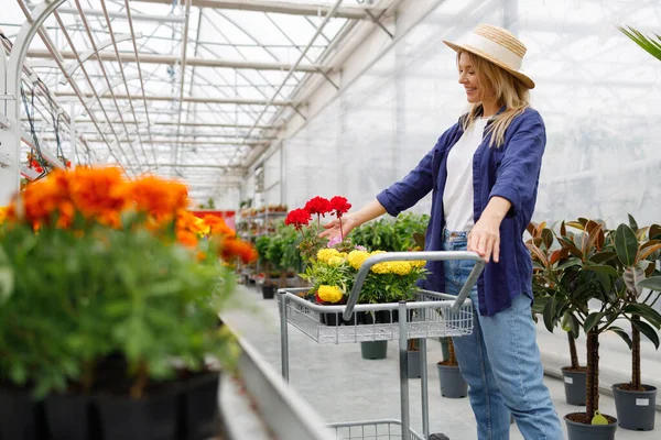 Attractive Cheerful Middle Aged Woman Potted Flowers Shopping Cart Greenhouse — Foto de Stock