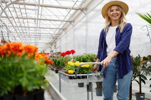 Pretty Woman Straw Hat Pushing Cart Full Potted Flowers Greenhouse — Foto de Stock