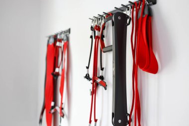 Pilates studio gym equipment. Suspension therapy system