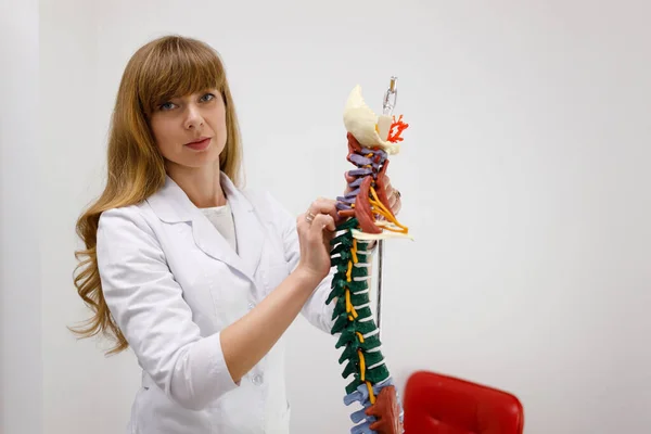 Female doctor with model of anatomical spine in clinic