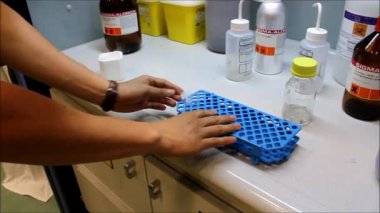 patlama. sıvı nitrojen içinde eppendorf tüp