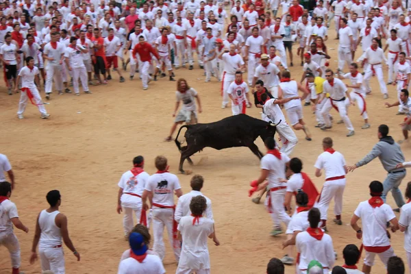 San fermin in pamplona, Spanje Stockfoto