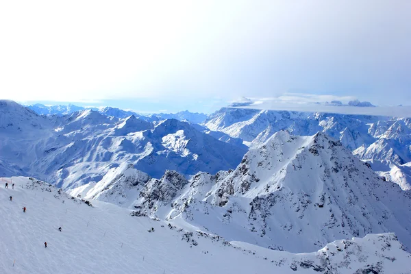 Alpine skiën Stockfoto