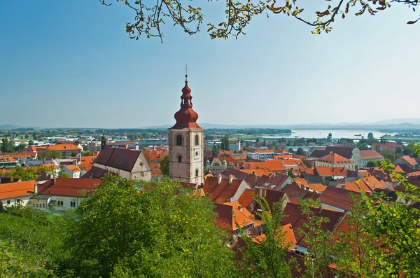 Kilise ve eski şehrini ptuj — Stok fotoğraf