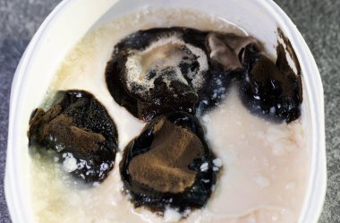 Olgunlaşmış meyve küfü üzerine seçici bir odaklanma. Çürük yiyecekler üzerindeki küf oluşumunu inceliyorum. Yiyecek depolama kavramı