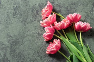 Gri arka planda pembe lale demeti. Çiçekli mevsimlik çiçek kartı..