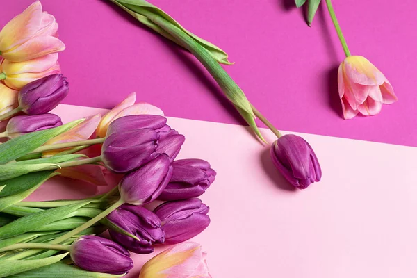 iki renk çiçek kompozisyonu. Pembe ve mor arkaplanda iki renkli laleler