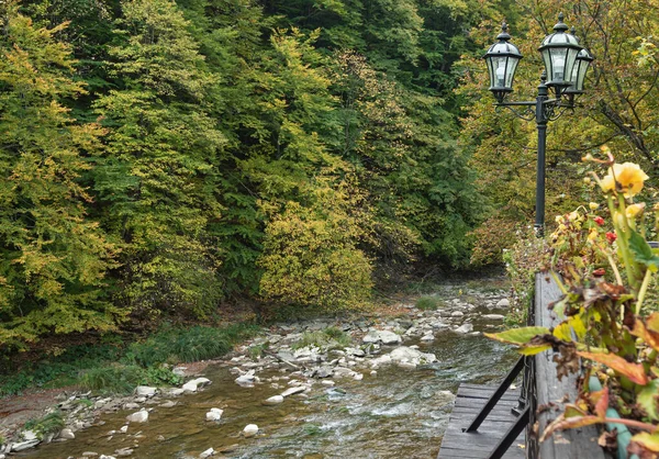 Paisaje Otoño Las Montañas Los Cárpatos Con Vista Río Montaña —  Fotos de Stock