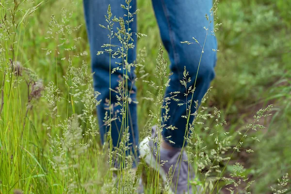 Selective Focus Legs Teenage Girl Jeans Purple Sneakers Meadow Oncept — Stock Photo, Image