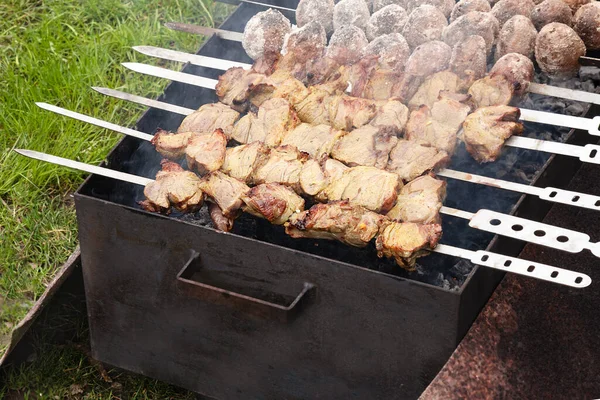 General View Metal Barbeque Skewers Preparation Two Types Barbeques — Foto Stock
