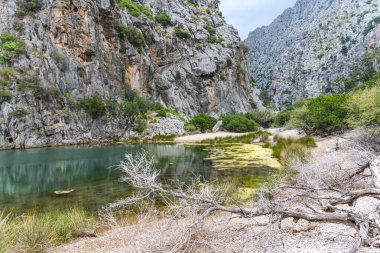 Dağlardaki dağ nehrinin güzel manzarası