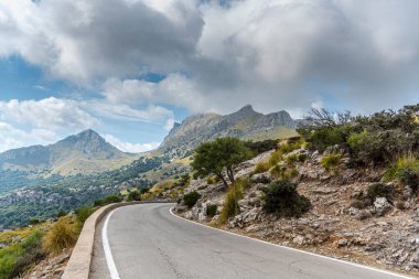 İsrail 'in kuzeyindeki Akdeniz' in dağlarındaki yol.