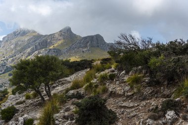 Dağların güzel manzarası