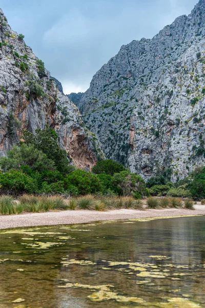 Dağlardaki nehrin güzel manzarası