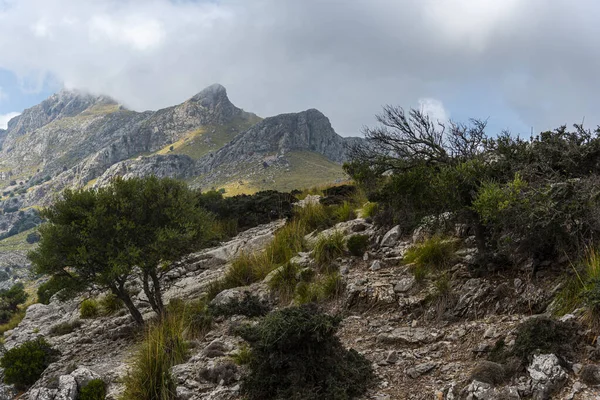 Dağların güzel manzarası