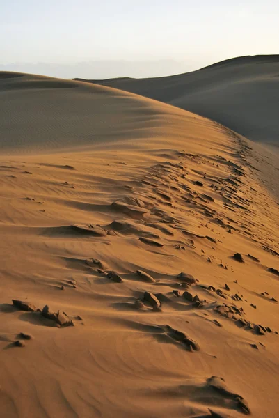 Estructuras de dunas — Foto de Stock