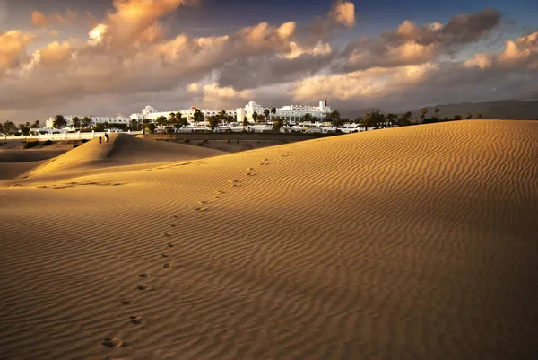 Оазис и песчаные дюны пустыни — стоковое фото