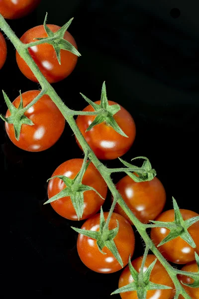 Siyah arkaplanda domatesler — Stok fotoğraf