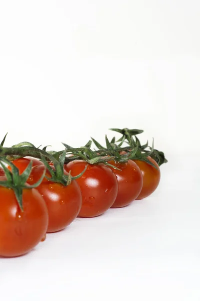 Beyaz arka plan ve tahta üzerinde domates — Stok fotoğraf