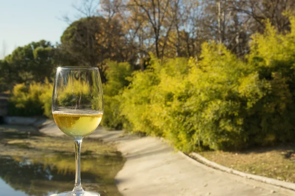 Glass of wine, landscape background — Stock Photo, Image