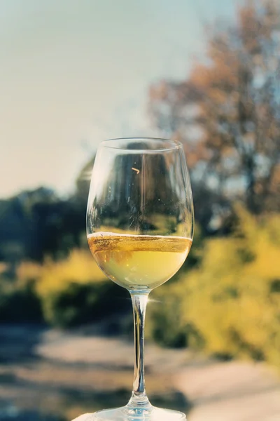 ワイン、風景の背景 — ストック写真