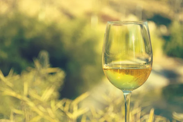 Glass of wine, landscape background — Stock Photo, Image