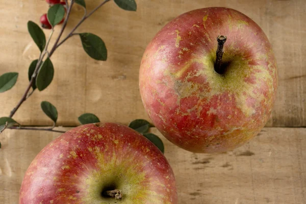 Skutečné jablka, na dřevěné pozadí — Stock fotografie
