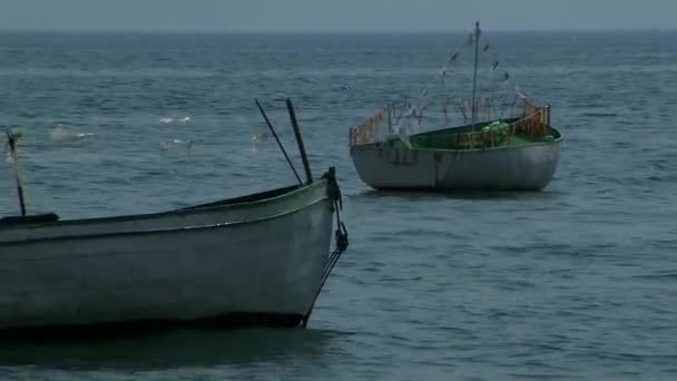 Twee boten drijvend op het water — Stockvideo