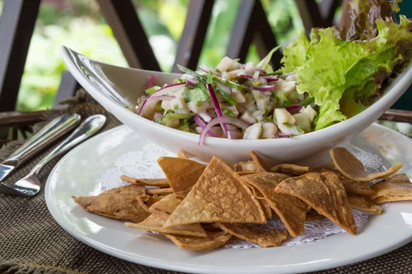 Plate of Ceviche — Stock Photo, Image