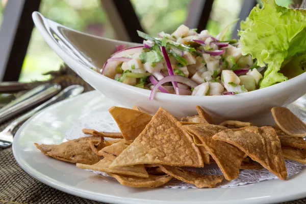 Ceviche with Nachos — Stock Photo, Image