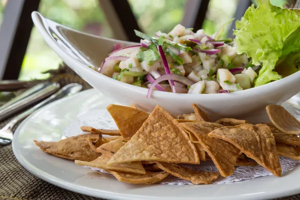 Ceviche dengan nachos — Stok Foto