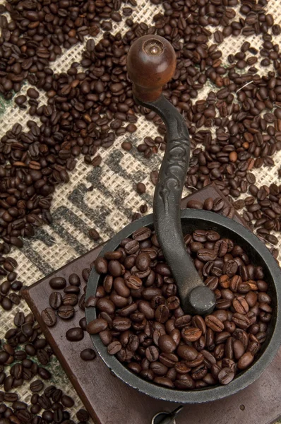 Coffee Beans and Grinder — Stock Photo, Image